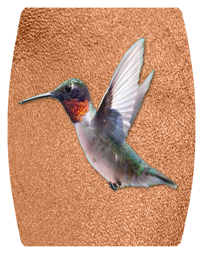DAREC Hummingbird on Lilac CP PROOF 2